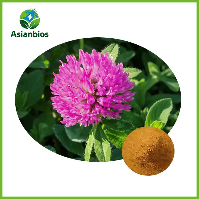 Red Clover Extract powder